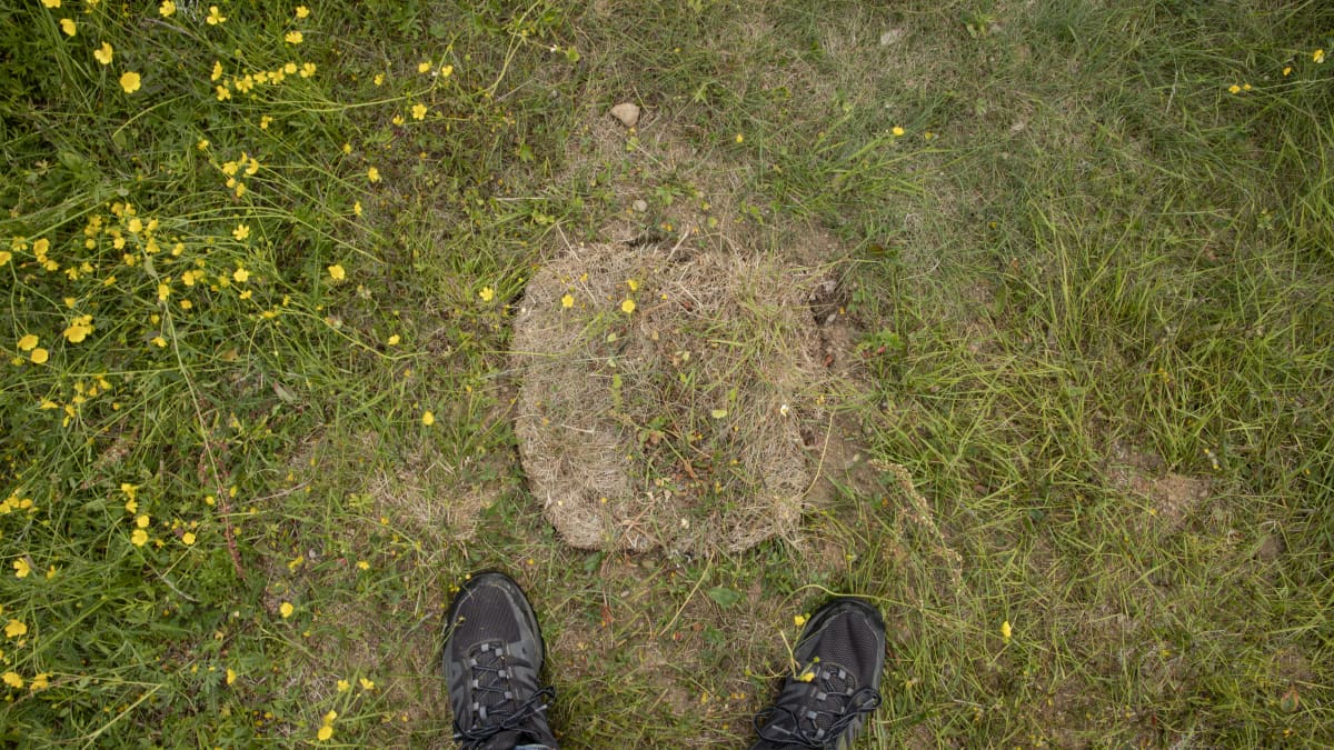 Tsasounan muinasjäänne Kuivajärven pellolla