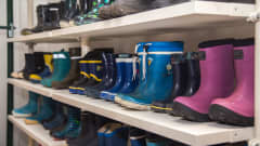 Children's shoes on a shelf