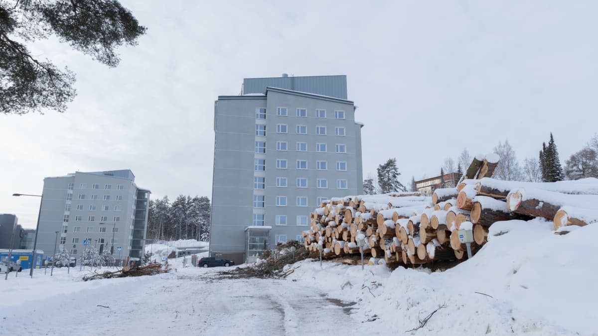 Kaadettuja puita ja rakennuksia Kuopion Yliopistollisen sairaalan alueella.