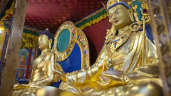Buddha-patsaita Dharma-keskus Danakoshassa.