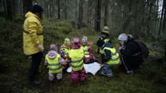 Karhulan lapset leikkivät metsässä.