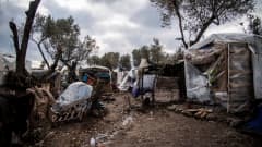 Asumuksia pakolaisleirillä