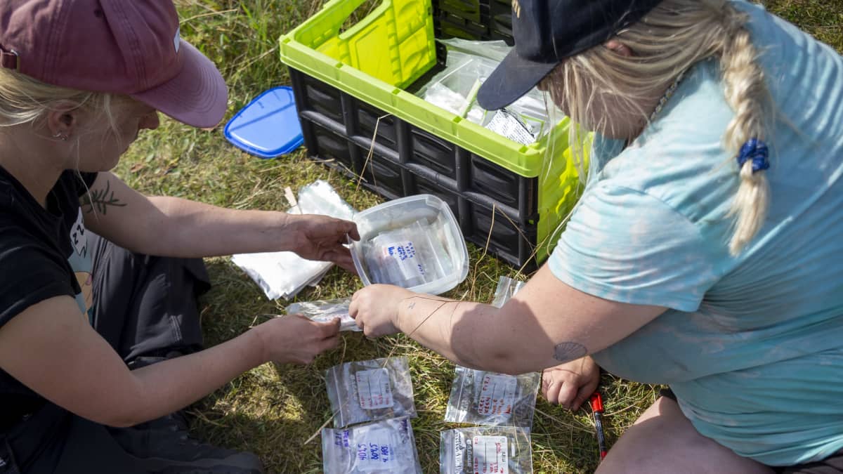 Henkilöt järjestelevät arkeologisia näytepusseja.