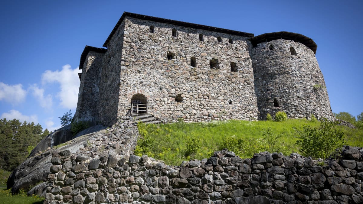Raaseporin linnan raunioilla lampaat suojelevat harvinaisia lajeja –  muinaistulokkaat kertovat kasvien ja ihmisten pitkästä yhteisestä matkasta