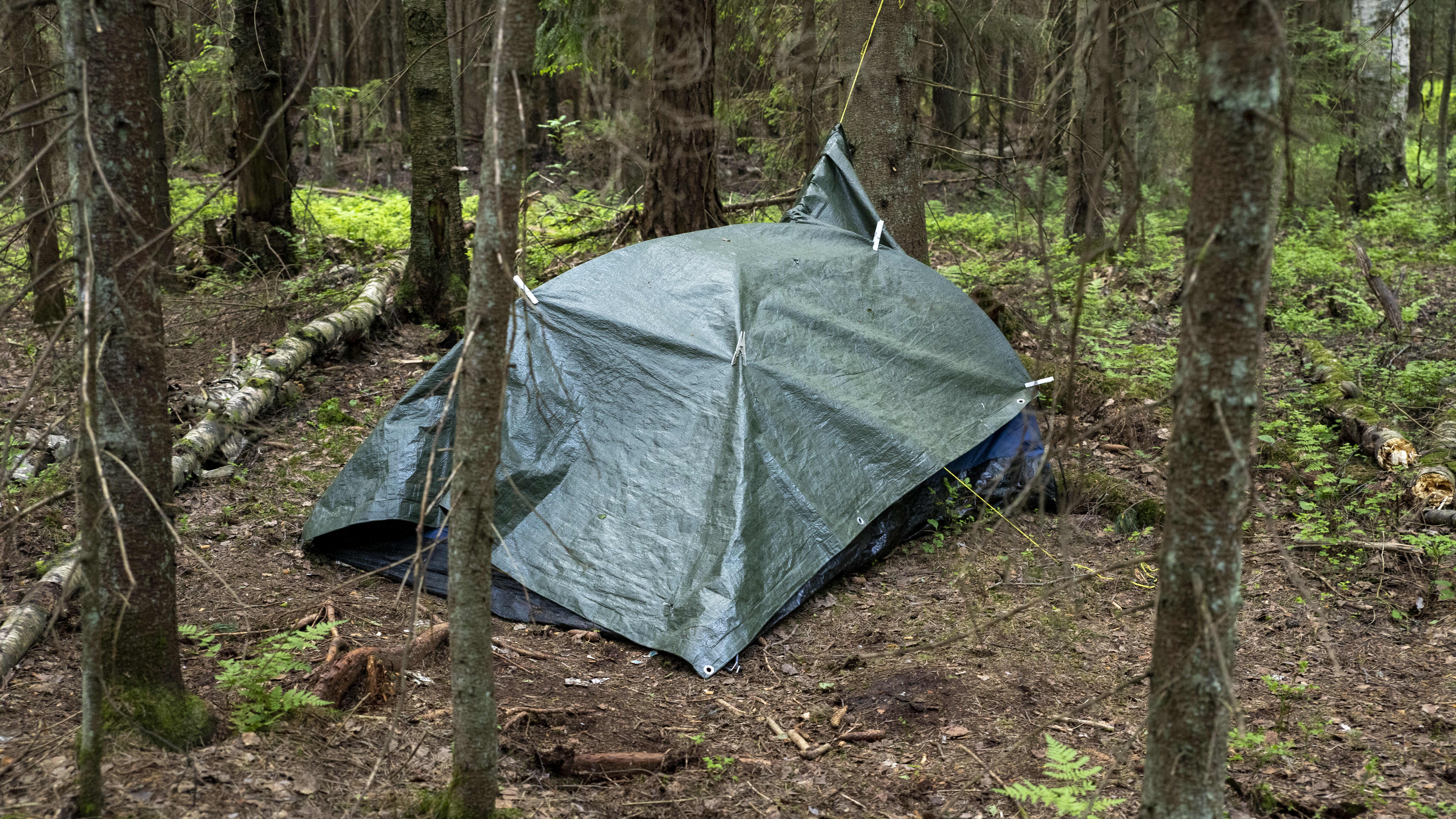 Metsän keskellä pressun alla oleva teltta