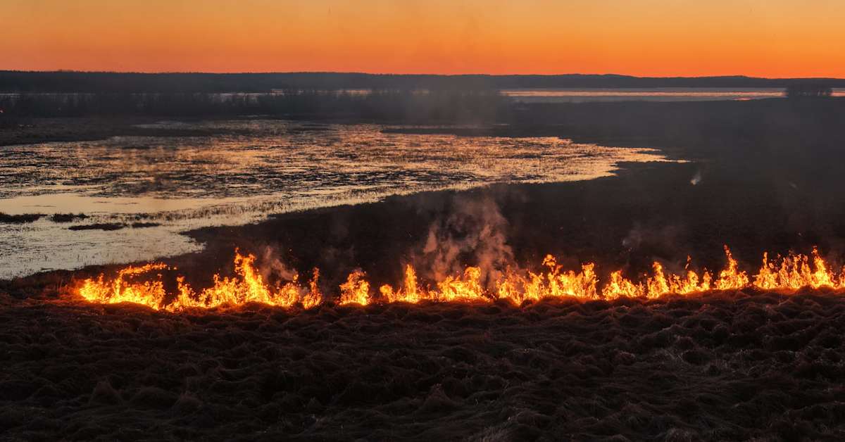 Lapland rescue services allow river island wildfire to burn itself out
