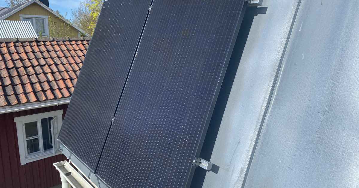 Tuesday's papers: Another berry trial, solar panel musts and Moominspiration - Vimarsana News