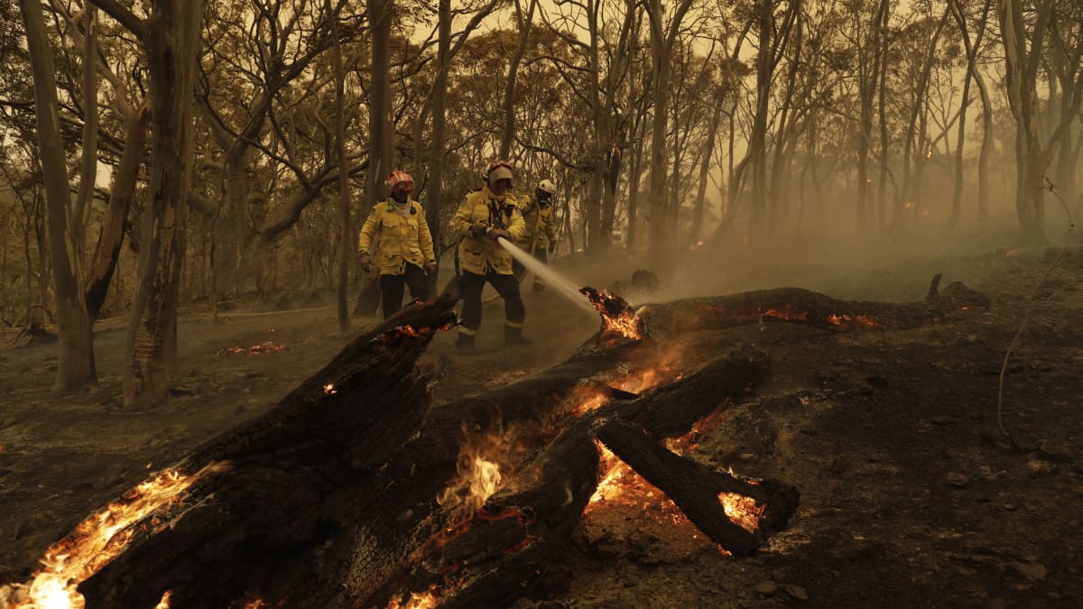 Palokunta sammuttamassa pientä maastopaloa syrjäisellä Colintonin alueella Uuden Etelä-Walesin osavaltiossa Australiassa 1. helmikuuta 2020.
