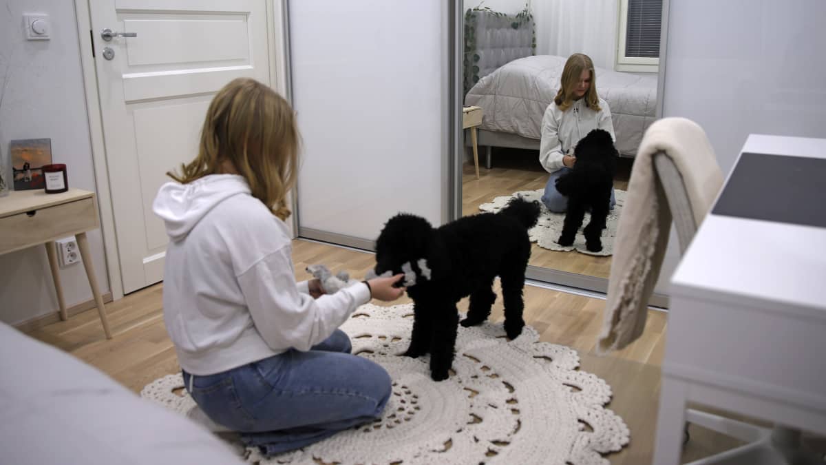 Viivi Qvintus leikkii koiranpennun kanssa omassa huoneessaan.