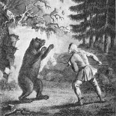 Suomalainen hyökkää karhun kimppuun. 