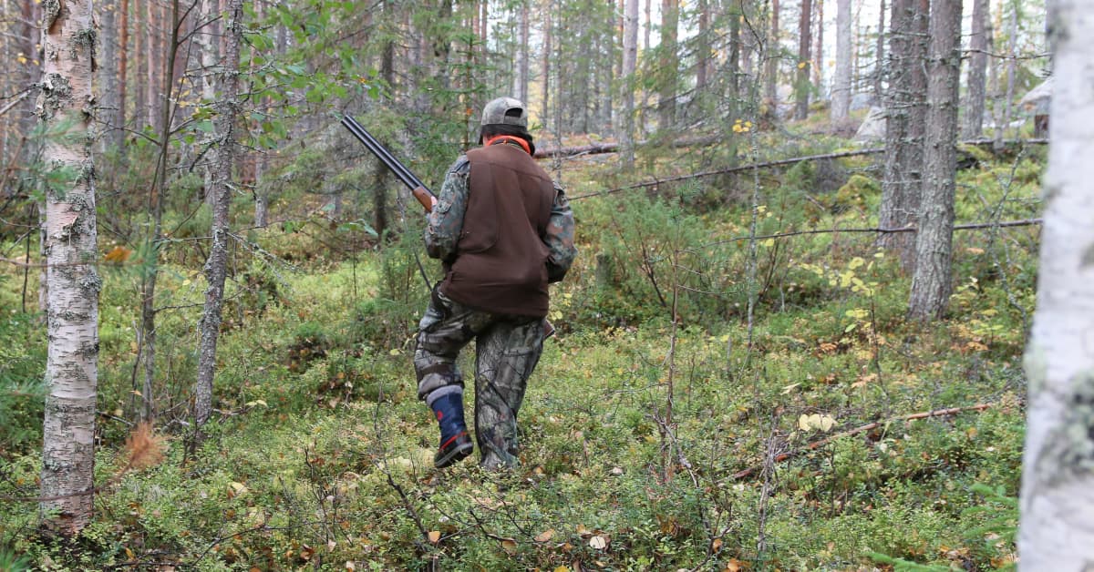 yle.fi