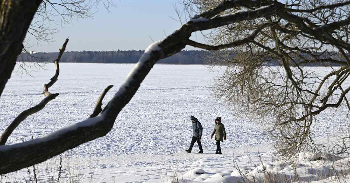 Sää jatkuu kylmänä – loppuviikoksi luvassa poutaa koko maahan