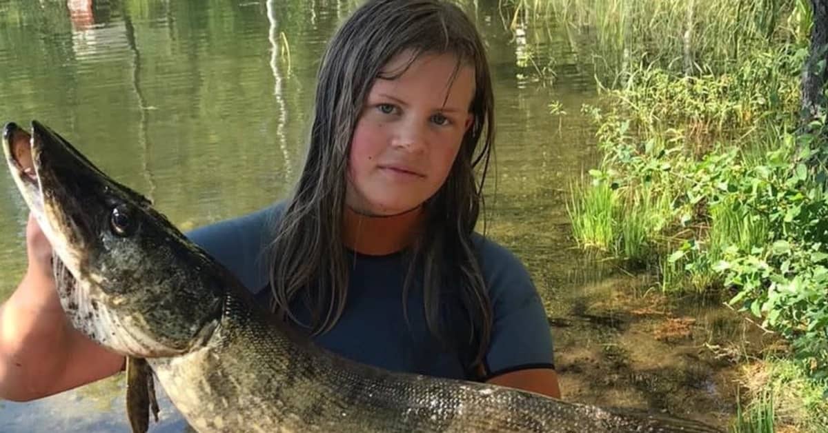 Hauki hyökkäsi 11-vuotiasta Anna Kupiaista päin viime kesänä – nyt hän  pyydysti valtavan kalan: 