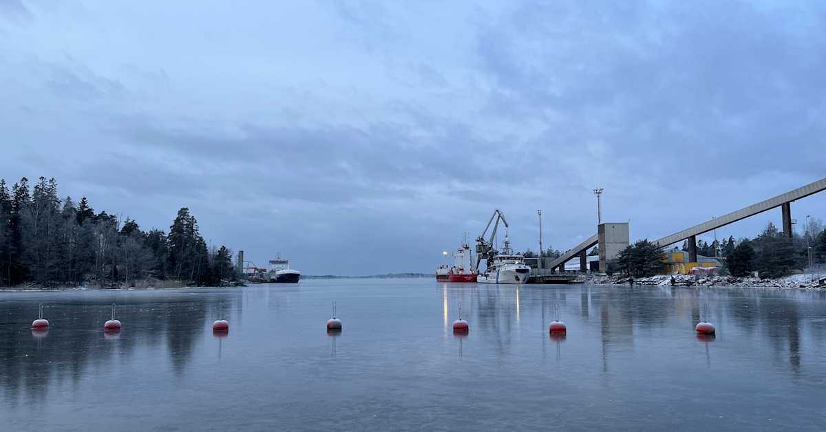 Fitburg-alus & Pakotteet: Teräslasti Tullin tutkinnassa – Suomi