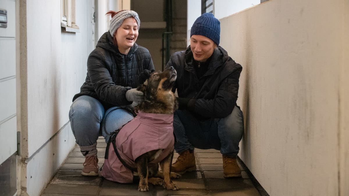 Opiskelijan taloudellinen arki, kuvassa Lilli Hatinen poikaystävänsä Tapanin ja Retu koiran kanssa Helsingin Mellunmäessä.
