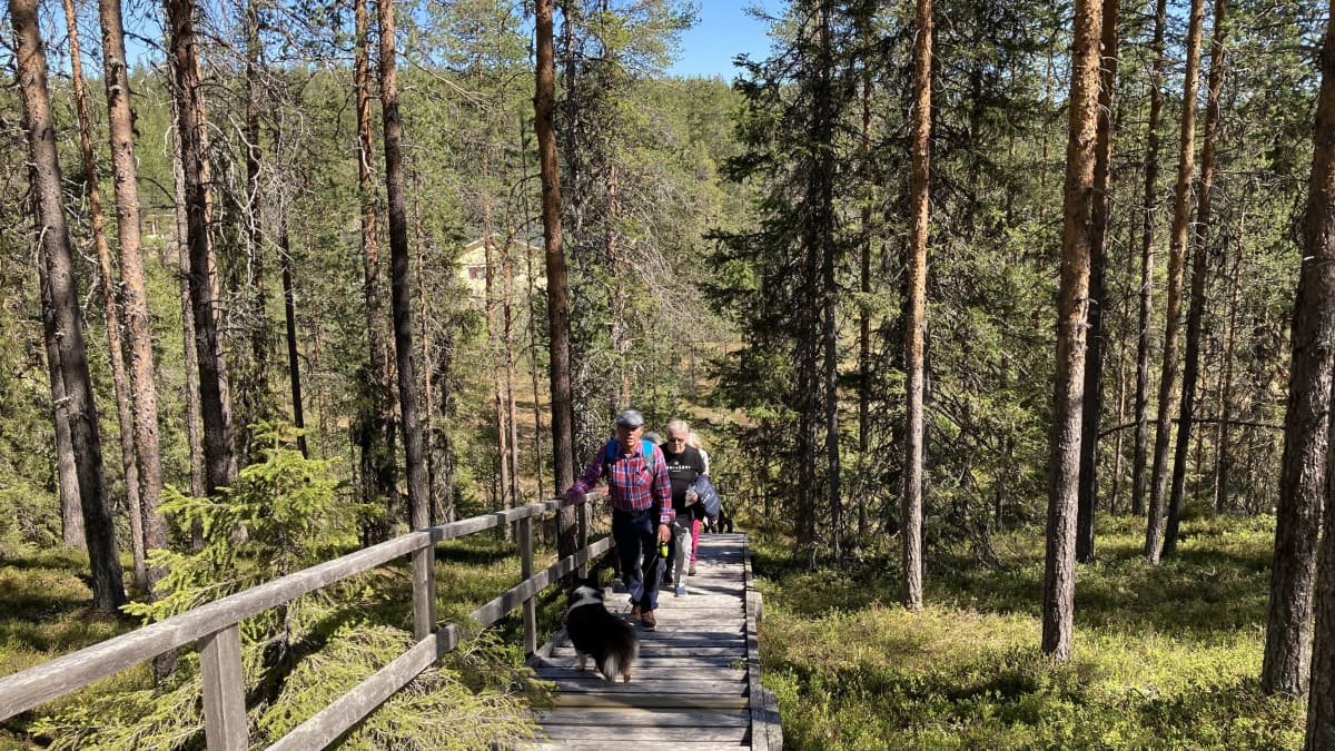 Retkeilijöitä vaeltamassa Sallan kansallispuistossa.