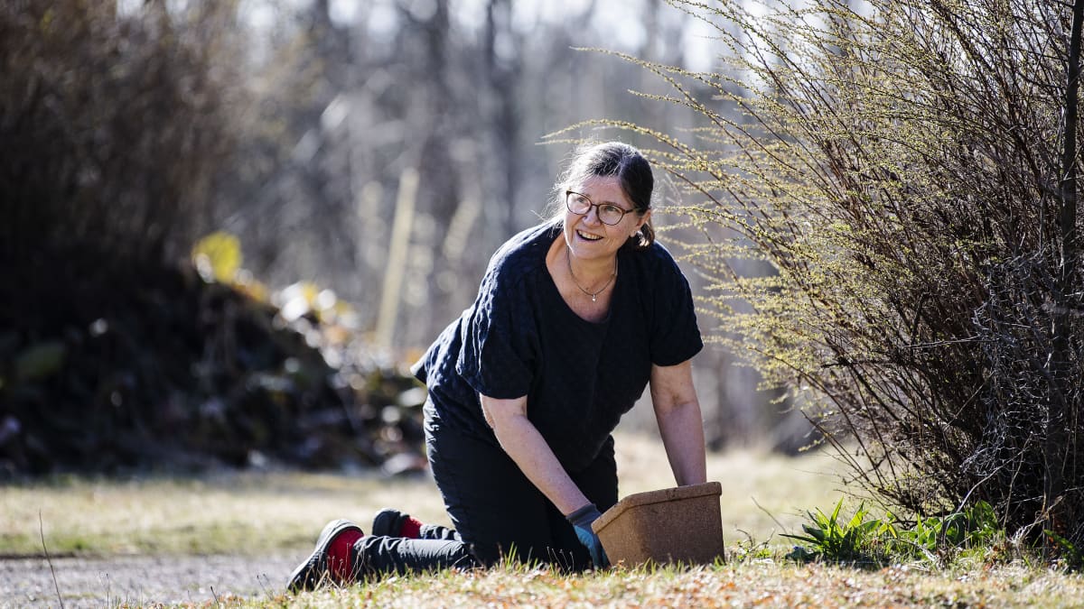 Kuvassa Tiia Kylänpää tekee kevättöitä kotipuutarhassaan.