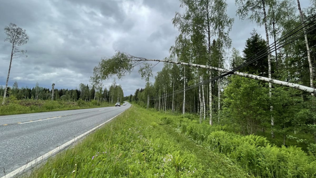 Karttulantiellä Kuopion Rytkyllä sähkölinjalle kaatunut puu.