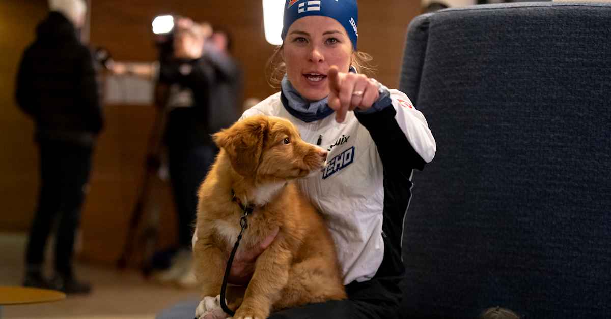 Krista Pärmäkoski’s Decision Surprises Even Aino-Kaisa Saarinen: 'But I’m Not a Dog Owner'