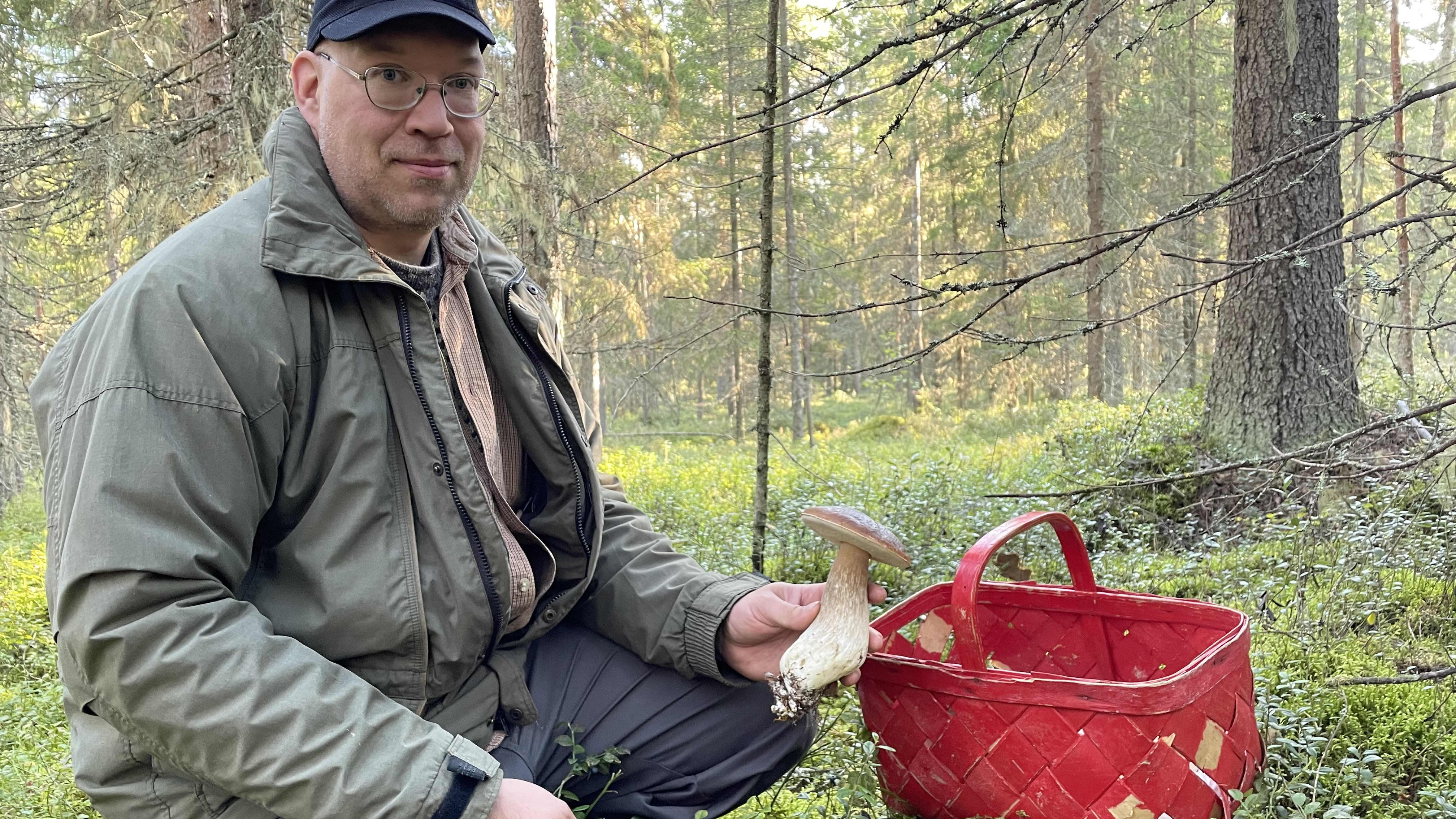 Oulun sieniseuran puheenjohtaja Antti Pekkala mehevä herkkutatti kädessään. 