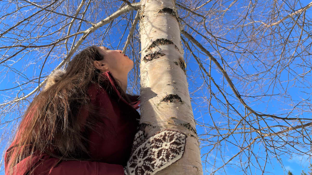 Italialainen Giulia Santelli halaa koivua kotipihallaan Kuhmossa.
