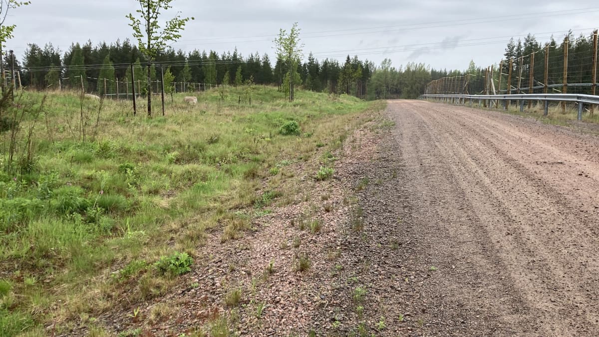vihersilta eli tie joka menee moottoritien yli