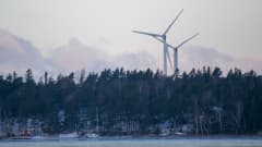 Tuulivoimaloita järven ja metsän takana.