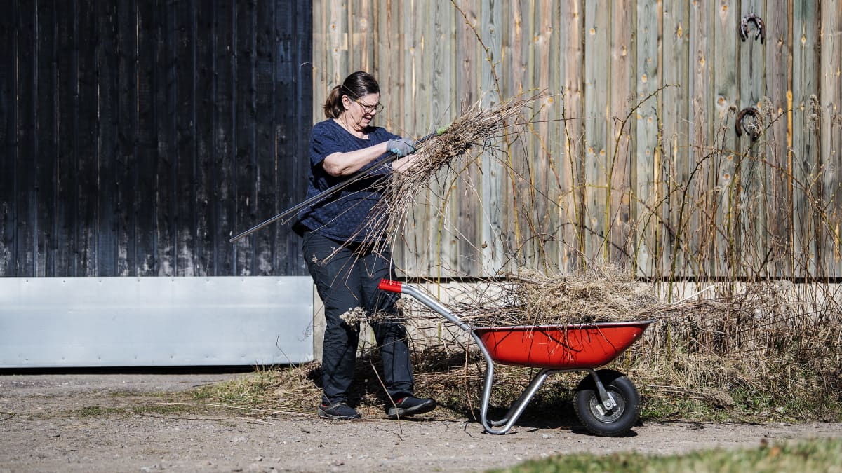 Kuvassa Tiia Kylänpää tekee kevättöitä kotipuutarhassaan.