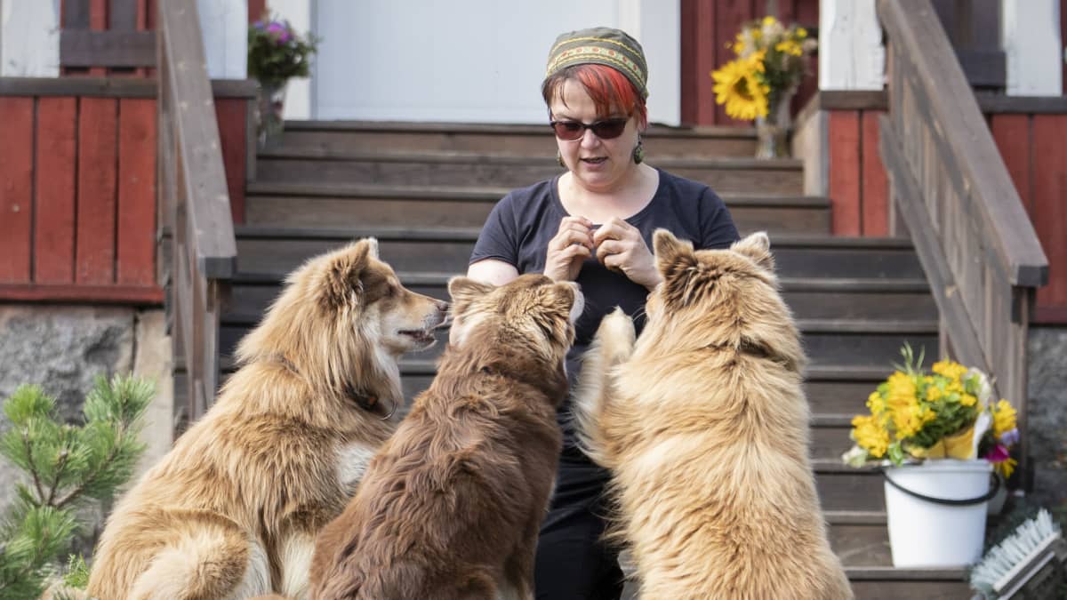 Möhkön Mantan yrittäjä Tuija Lauronen koiriensa kanssa majatalon edustalla.