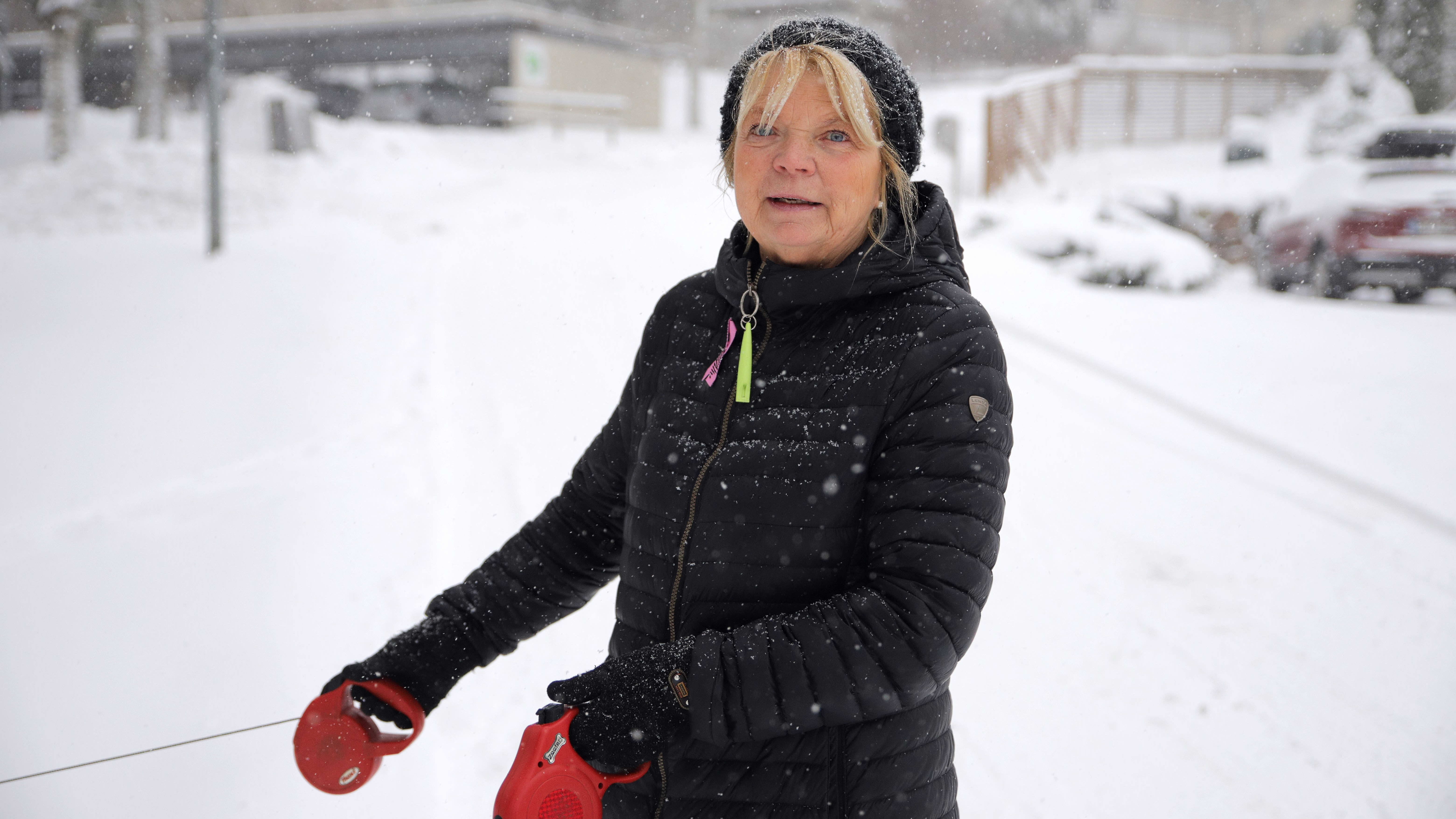 Jessica Löfgren-Eriksson ulkoiluttamassa koiriaan lumipyryssä Esoon Westendissä..