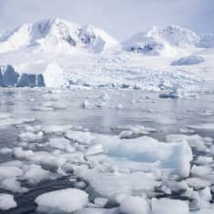 Jäävuoria Etelämantereella tammikuussa 2023.