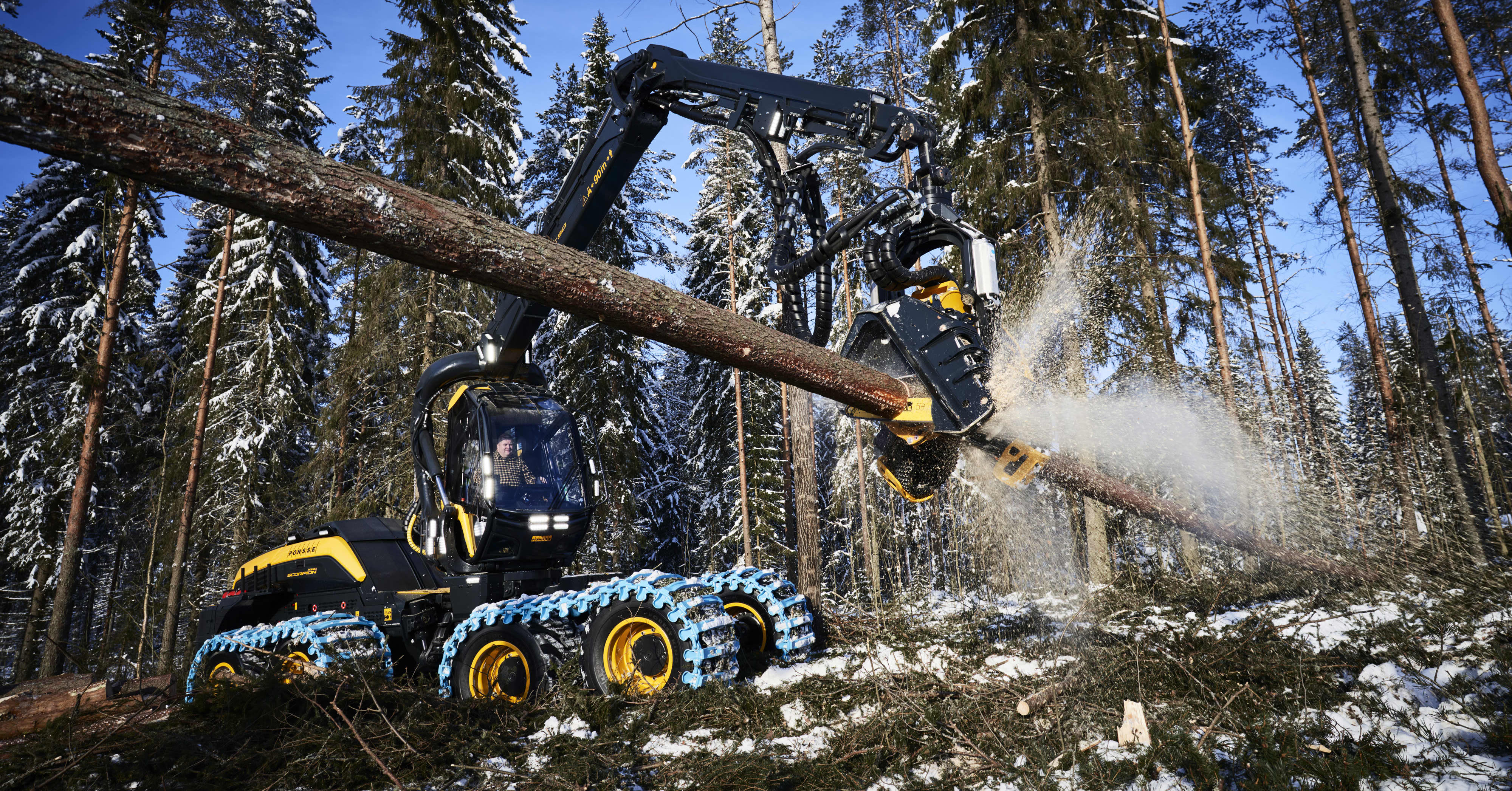 Suomi aikoo äänestää EU:n kiisteltyä metsälinjausta vastaan