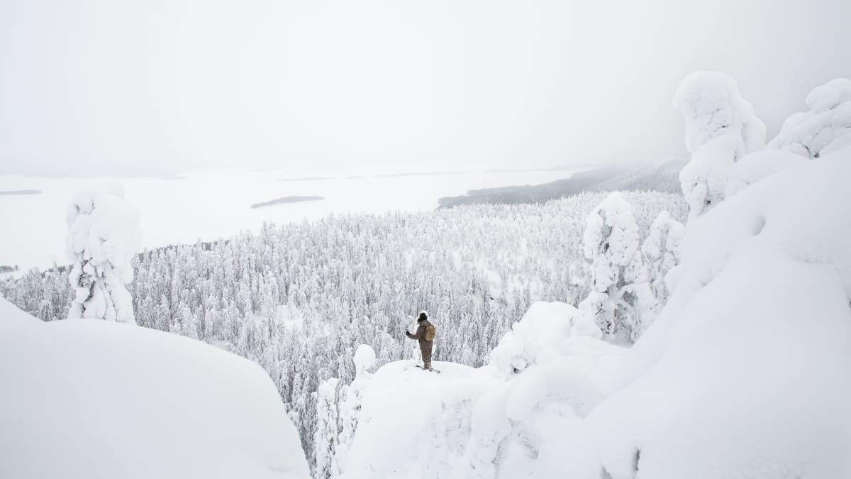 Mies seisoo tykkylumisessa talvimaisemassa Kolin huipulla katsomassa maisemaa Pieliselle.