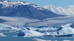 Sulava jäätikkö Argentinassa: vuori taustalla ja sen etualalla jäätikkö, joka valuu mereen.