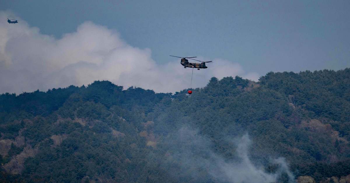 Sadat palomiehet taistelivat liekkejä vastaan Pohjois-Japanissa