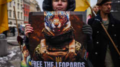 Nainen pitelee kylttiä, jossa vaaditaan "Leopardien" vapauttamista.