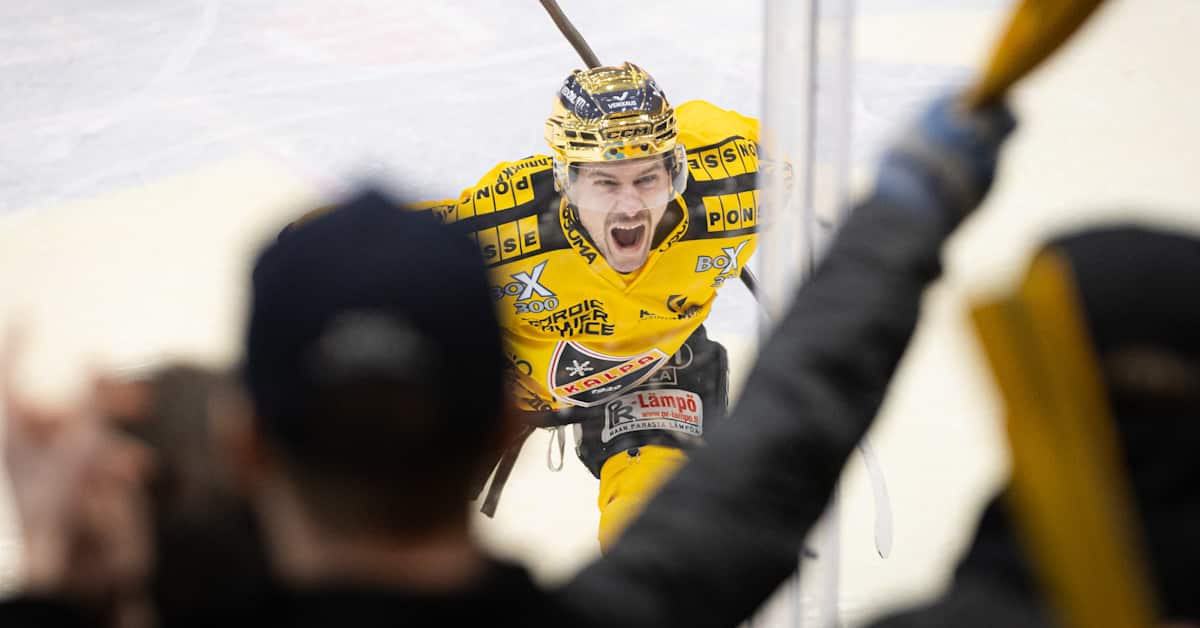 Pelikiellosta palannut Curry ei kanna kaunaa HIFK:lle – eikä muuta tyyliään: ”En ole parhaimmillani, jos en ole ärsyttävä”