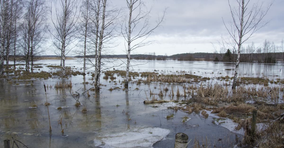 yle.fi