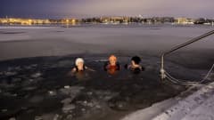 Kolme talviuimaria katsoo kameraan ja hymyilee Jätkäsaaren epävirallisella talviuintipaikalla. 