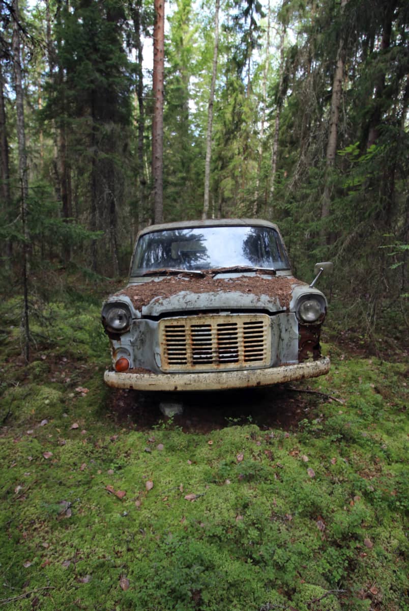 Lava-auto metsässä