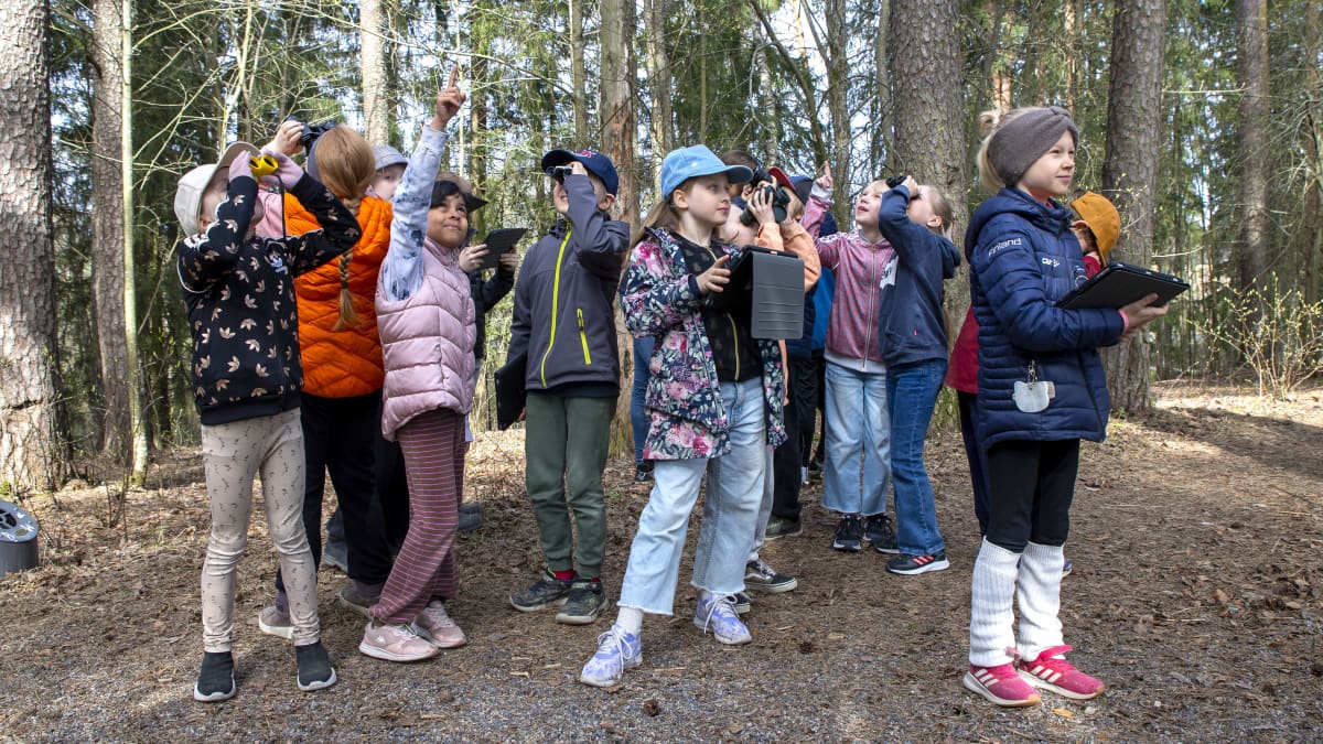 Ryhmä Jyväskylän normaalikoulun oppilaita tarkkailemassa lintuja metsässä.
