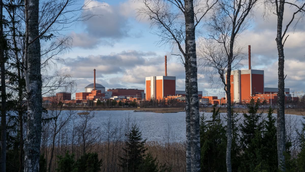 yleiskuva - Olkiluodon ydinvoimalaitoksen kolme reaktorirakennusta kuvattuna merenlahden takaa. Etualalla rannan puita.