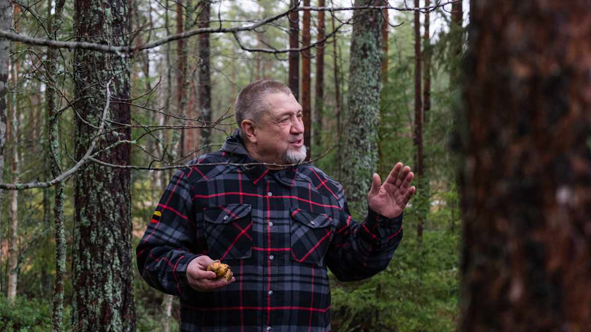 Jari Kropsun kädessä on metsässä kasvatettuja perunoita
