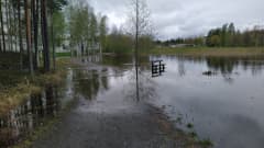 Kevään tulvavesi on noussut kävelytielle Kallaveden rannalla Kuopiossa.