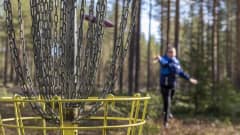 Rovaniemeläinen Terhi Tuorilainen harjoittelemassa Rovaniemen frisbeegolf-radalla
