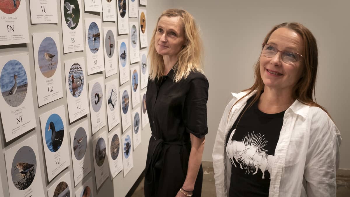 2 naista katselee valokuvia näyttelyssä.