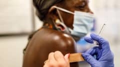 En sjukskötare sätter ett plåster på en persons arm efter vaccinering.