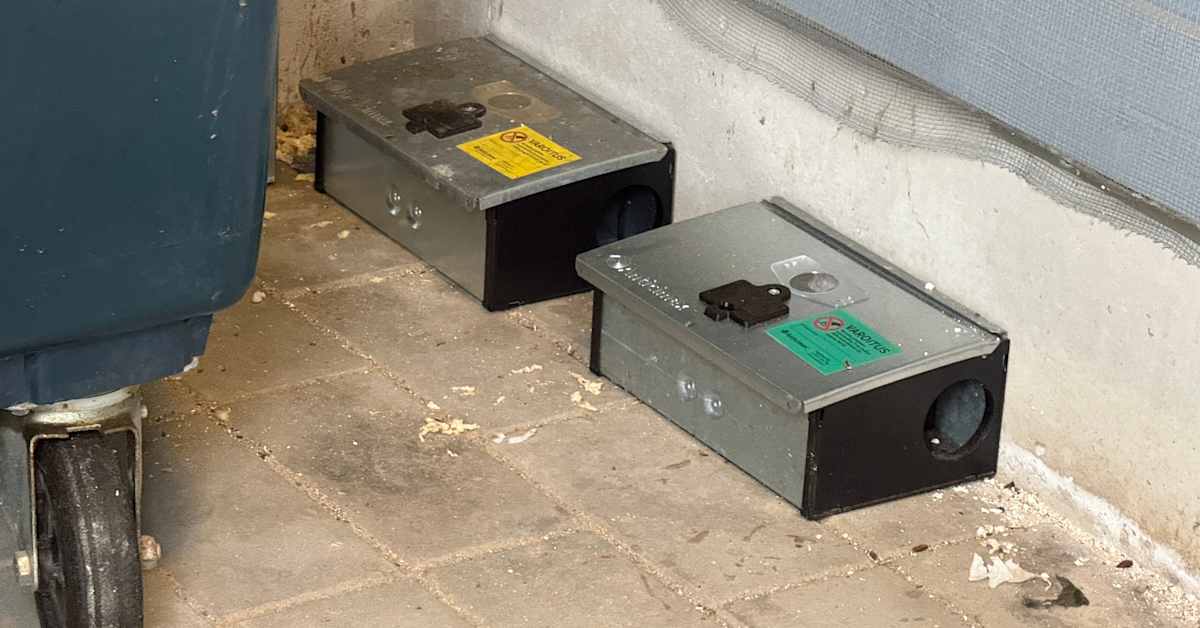 Sisältä löytynyt rotta oli viimeinen pisara – päiväkotilapset muuttivat väistötiloihin Akaassa