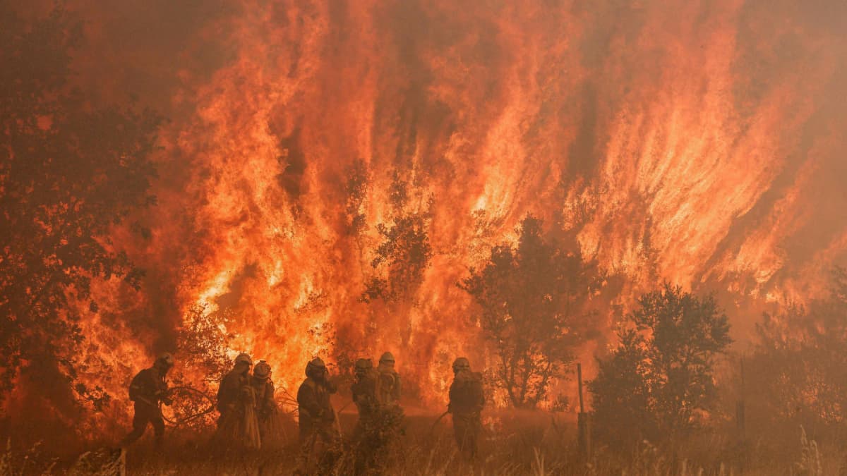 Palokunta sammuttaa metsäpaloa. Liekit ovat kymmen metriset. 