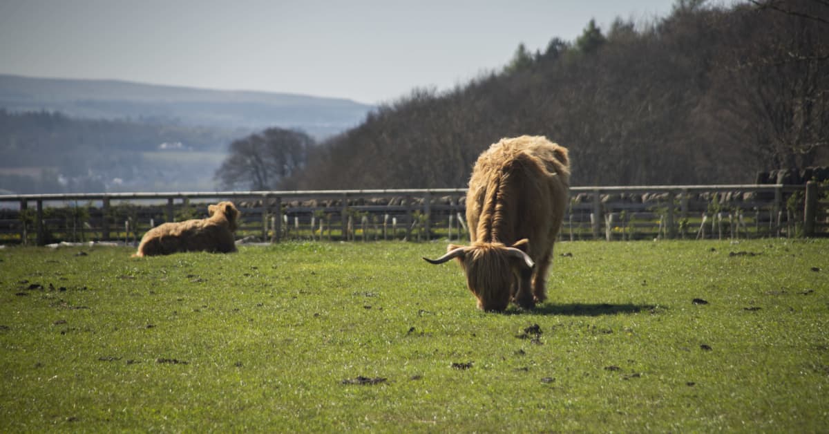 Israelin mukaan siirtokuntien laajentamisen arvostelu syrjii juutalaisia